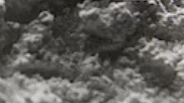 Calcium sulfite layer